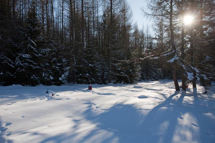 Bungalovy Pri Hoteli Spojar Žiar Dış mekan fotoğraf